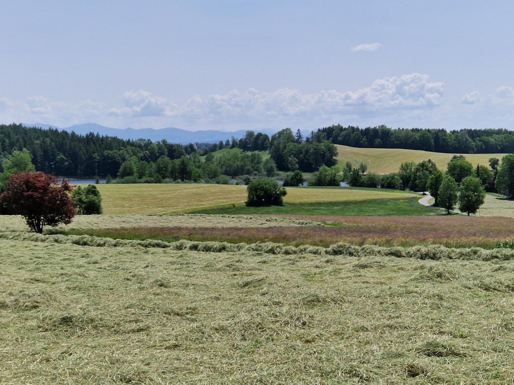 Ferienwohnung Ewigkeit - 4-Sterne Dtv Klassifiziert Leutkirch im Allgäu Exterior photo