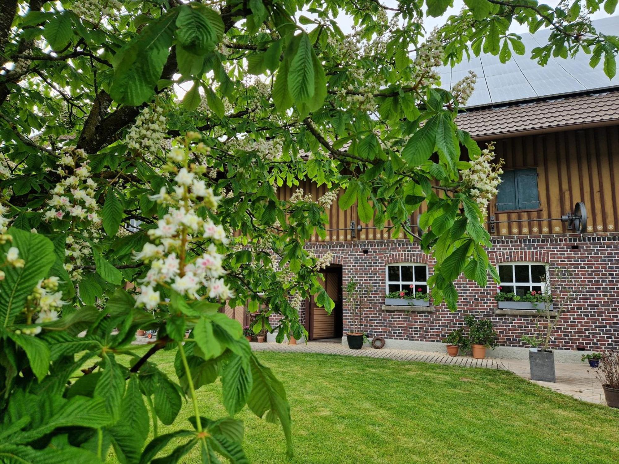 Ferienwohnung Ewigkeit - 4-Sterne Dtv Klassifiziert Leutkirch im Allgäu Exterior photo